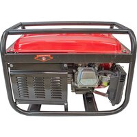 Бензиновый генератор Edon PT3000