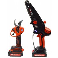 Наборы электроинструментов Brait BCCS20NM-2/BCP30-2VBL 21.01.293.019 (цепная пила, секатор, 2 АКБ, кейс)