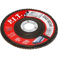 Шлифовальный круг P.I.T. APLS01-12512