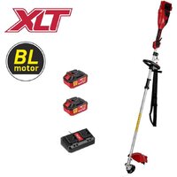 Триммер Wortex TB 3036-1 ALL1 XLT Set 1334872 (с 2-мя АКБ)