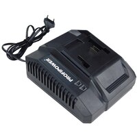 Зарядное устройство Profipower LI-18G A1162 (20В)