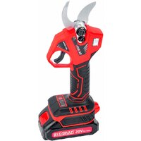 Секатор Brait BCP30-2VBL (с 2-мя АКБ)