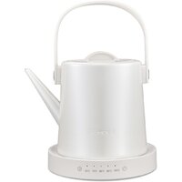 Электрический чайник Rondell RDE-WK804