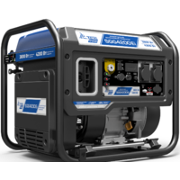 Бензиновый генератор ТСС SGG 4200EI