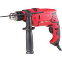 Ударная дрель Wortex DS 1309 [DS130900019]