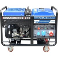 Бензиновый генератор ТСС SGG 16000EH3LA