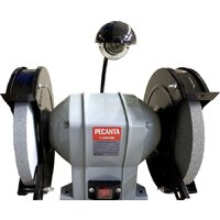 Заточный станок Ресанта Т-200/450