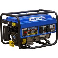 Бензиновый генератор ECO PE-3001RS