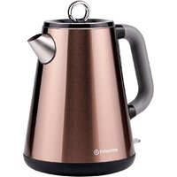 Электрический чайник Evolution KP17153 Steel